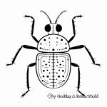 Cute Tiger Beetle Coloring Pages for Kids 2