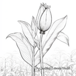 Dainty Banana Flower Printable Coloring Pages 2