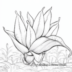 Dainty Banana Flower Printable Coloring Pages 3