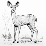 Dainty Female Gazelle Coloring Pages 2