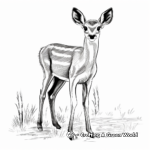 Dainty Female Gazelle Coloring Pages 4
