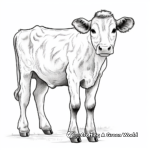Dairy Cow Coloring Pages for Dairy Lovers 2