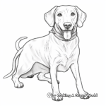 Dashing Dachshund Coloring Pages for Adults 1