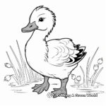 Delightful Duck Coloring Pages 3