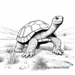 Desert Tortoise Against Sandy Backdrop Coloring Pages 1