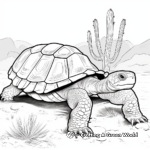 Desert Tortoise Against Sandy Backdrop Coloring Pages 3