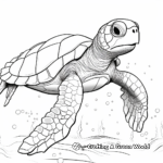 Detail Oriented Loggerhead Sea Turtle Coloring Pages 4