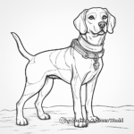 Detailed Adult Beagle Coloring Pages 1