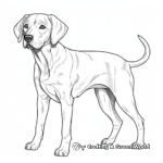 Detailed Adult Black Lab Coloring Pages 1