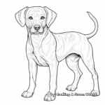 Detailed Adult Black Lab Coloring Pages 4