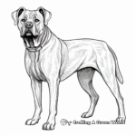 Detailed Adult Cane Corso Coloring Pages 1