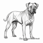 Detailed Adult Cane Corso Coloring Pages 2