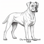 Detailed Adult Cane Corso Coloring Pages 3