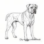 Detailed Adult Cane Corso Coloring Pages 4
