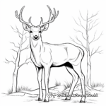 Detailed Adult Elk Coloring Pages 1