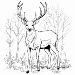 Detailed Adult Elk Coloring Pages 3