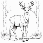 Detailed Adult Elk Coloring Pages 4