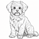 Detailed Adult Yorkie Coloring Pages 1