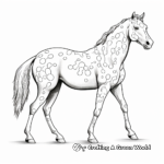 Detailed Appaloosa Horse Anatomy Coloring Pages for Adults 1