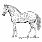 Detailed Appaloosa Horse Anatomy Coloring Pages for Adults 2