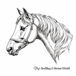 Detailed Arabian Horse Head Profile Coloring Pages 3