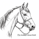 Detailed Arabian Horse Head Profile Coloring Pages 4