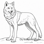 Detailed Arctic Wolf Coloring Pages for Adults 1