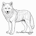 Detailed Arctic Wolf Coloring Pages for Adults 4