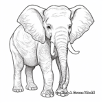 Detailed Asian Elephant Coloring Pages for Adults 4