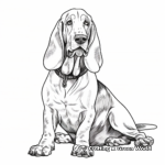 Detailed Basset Hound Pages for Advanced Colorists 1