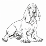 Detailed Basset Hound Pages for Advanced Colorists 4