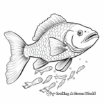 Detailed Black Cod Coloring Pages for Adults 3