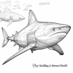 Detailed Bull Shark Anatomy Coloring Pages 2