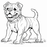 Detailed Bulldog Coloring Pages for Adults 2