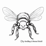 Detailed Bumblebee Coloring Pages for Adults 3