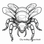 Detailed Bumblebee Coloring Pages for Adults 4