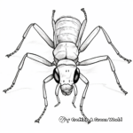 Detailed Carpenter Ant Coloring Pages for Adults 4
