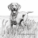 Detailed Chocolate Lab Hunting Dog Coloring Pages for Adults 1