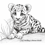 Detailed Clouded Leopard Coloring Pages for Adults 2