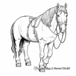 Detailed Clydesdale Horse Coloring Pages for Adults 1