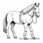 Detailed Clydesdale Horse Coloring Pages for Adults 3