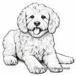 Detailed Cockapoo Breed Coloring Page for Adults 3