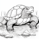 Detailed Common Snapping Turtle Coloring Sheets 2