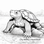 Detailed Common Snapping Turtle Coloring Sheets 4
