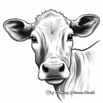Detailed Cow Face Coloring Pages for Adults 4