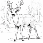 Detailed Deer in Snow Coloring Pages 1