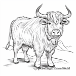 Detailed Domestic Yak Coloring Page for Adults 3