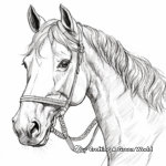 Detailed Draft Horse Head Coloring Pages 1