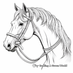 Detailed Draft Horse Head Coloring Pages 3