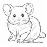 Detailed Dwarf Hamster Coloring Pages 3
